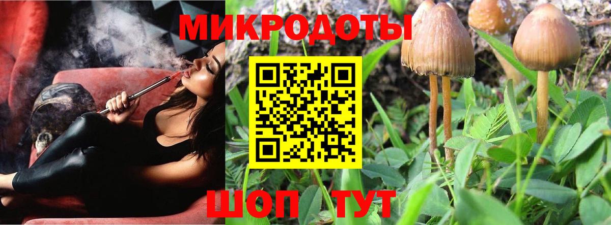 Галлюциногенные грибы мухоморы  Вход с VPN  Кулебаки 